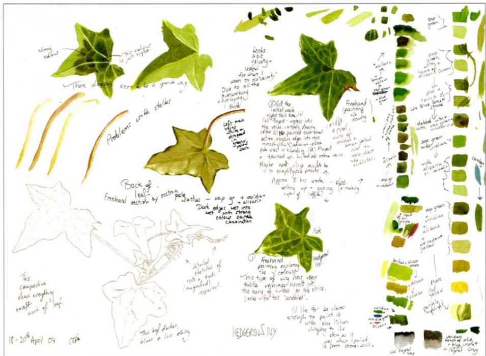 Botanical Image